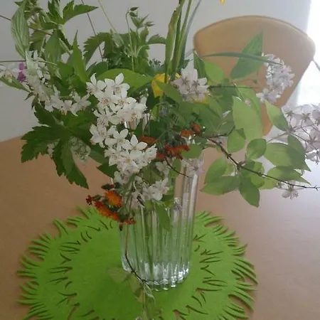 Apartment Im Bayerischen Wald