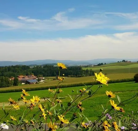 Im Bayerischen Wald