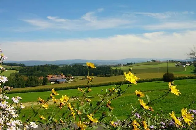 Im Bayerischen Wald